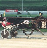 The Meadows features harness racing.