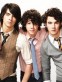 The Jonas Brothers